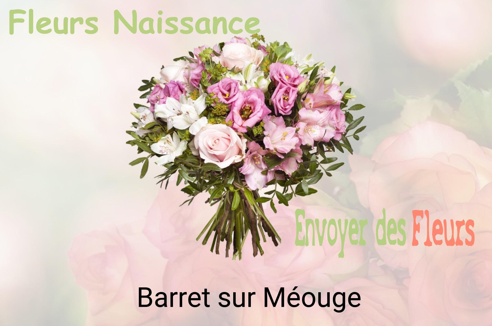 Bouquet de fleurs de naissance livré à Barret-sur-Méouge